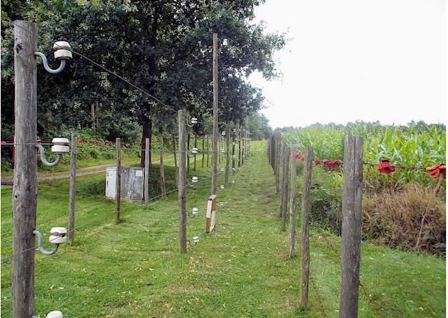 La Petite Fleur Villa Baarle-Nassau Eksteriør bilde